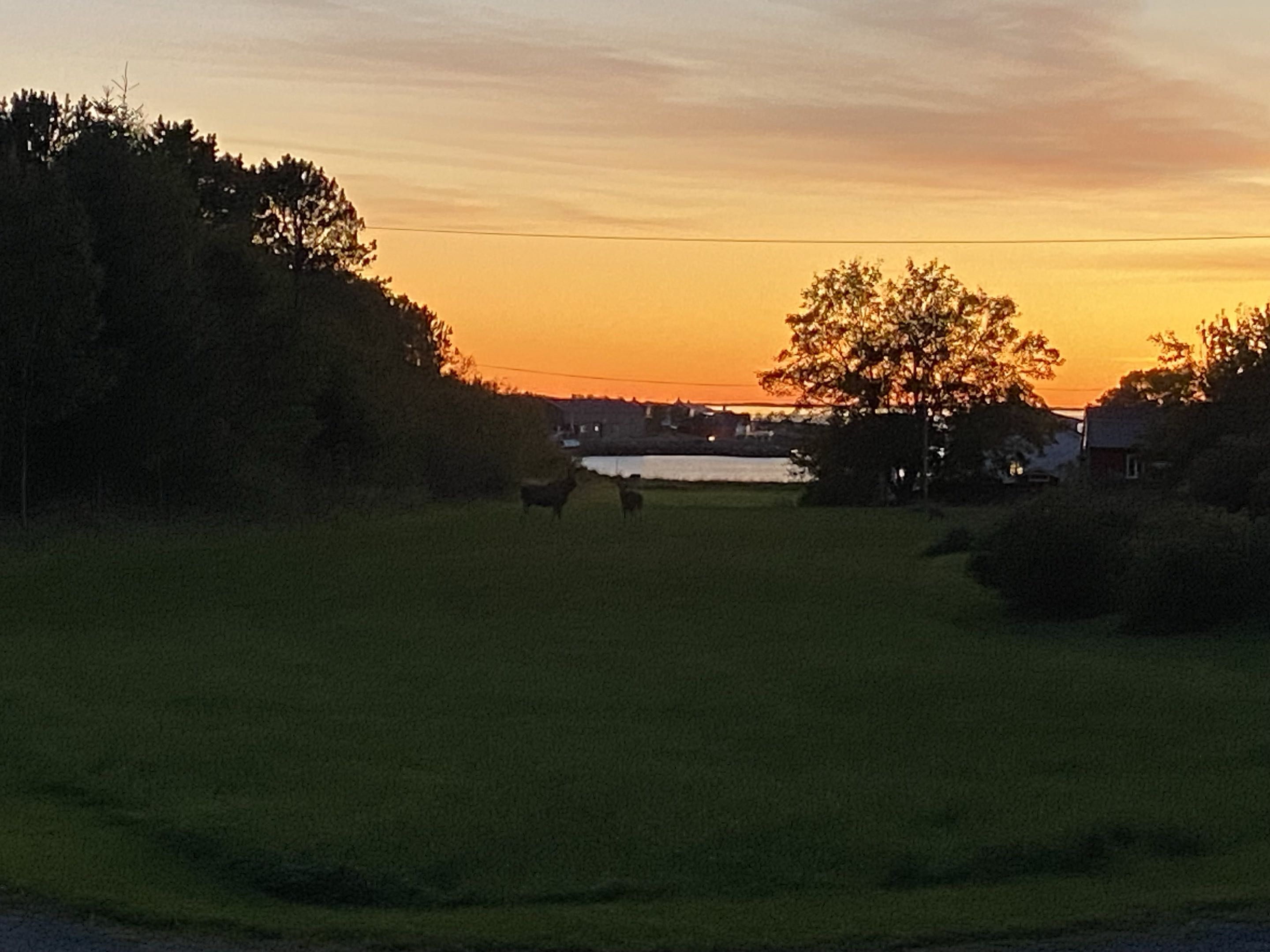Reisefoto 35